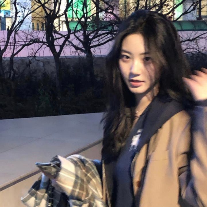 黑莲花凤鸣天下